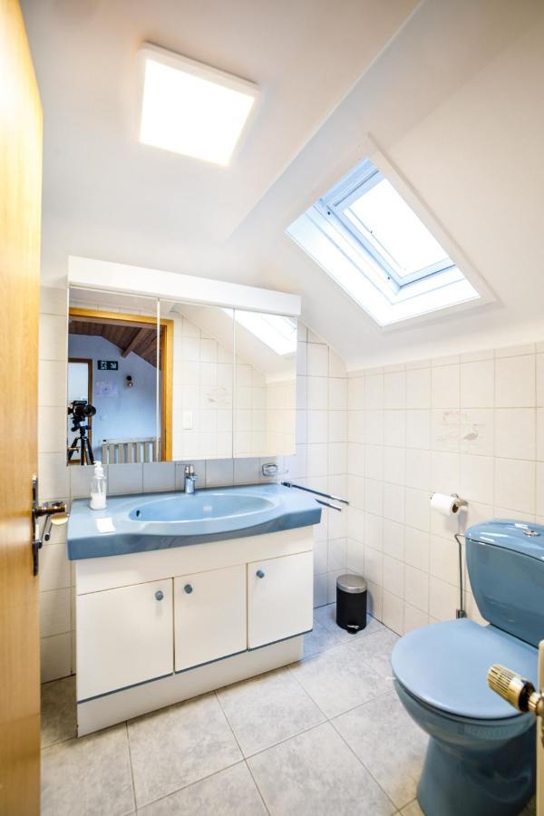 Luxueuse Et Spacieuse Villa Avec Sauna Et Piscine Malmedy Zewnętrze zdjęcie